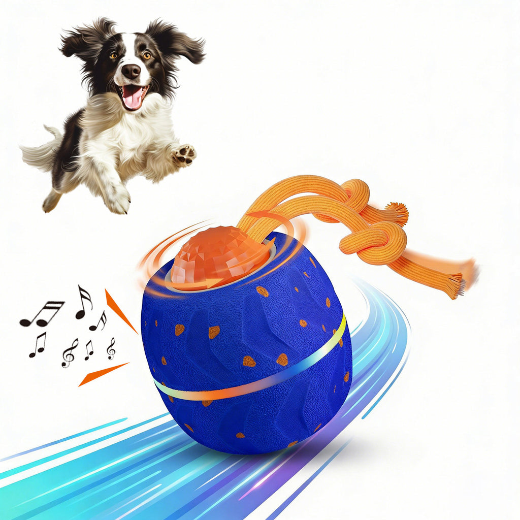 The Interactive Ball That Burns Energy Fast