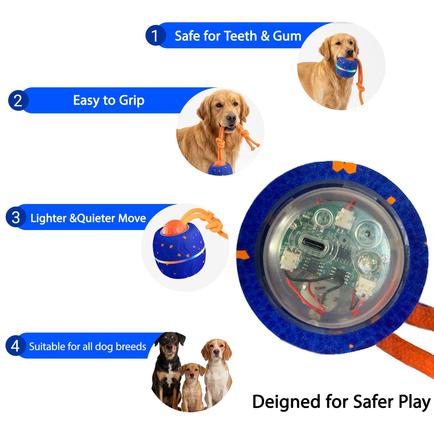 The Interactive Ball That Burns Energy Fast