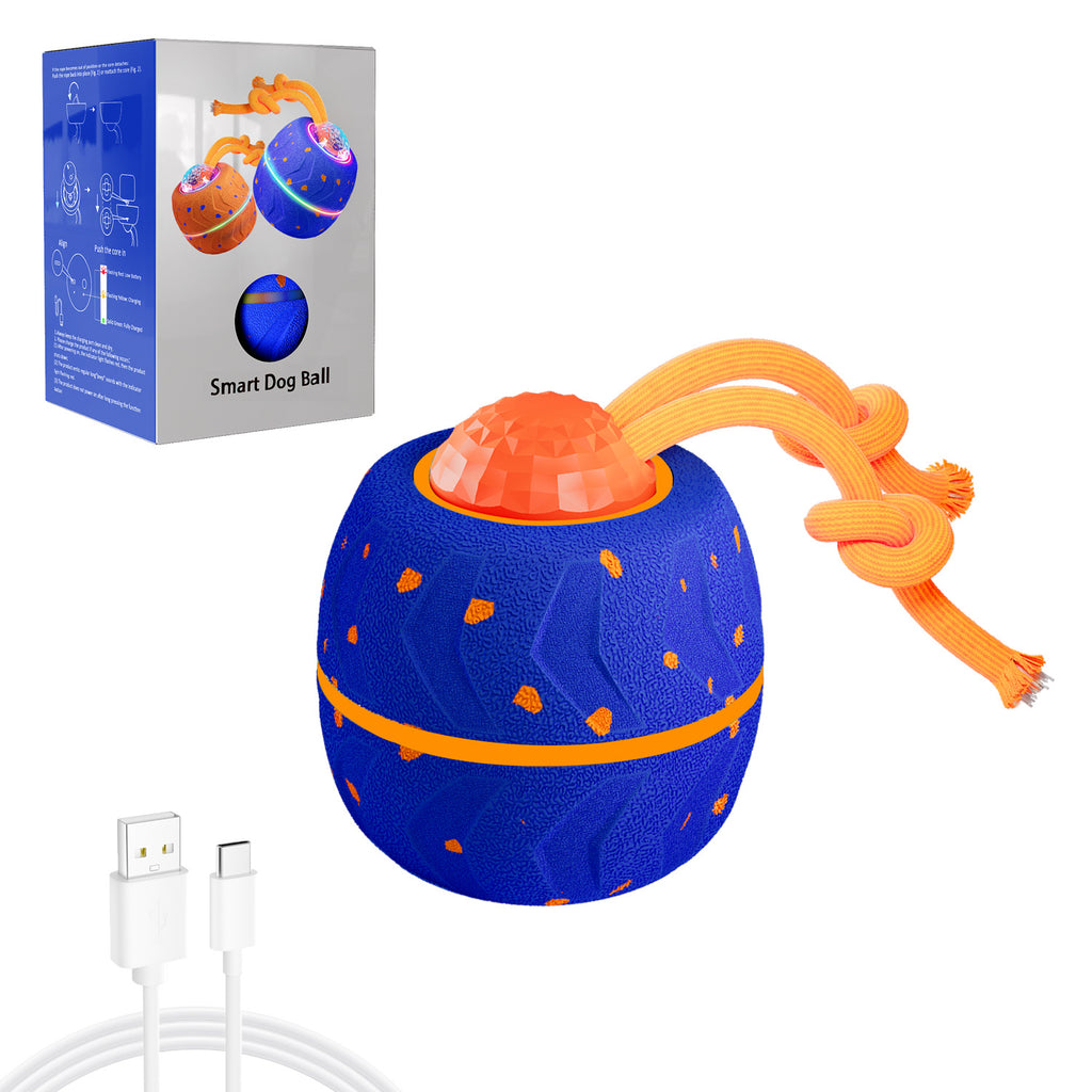 The Interactive Ball That Burns Energy Fast